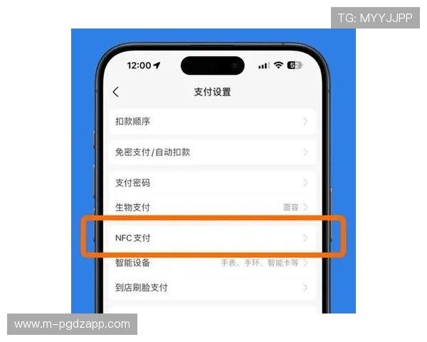 PG娱乐app手机支持多种支付方式,保障用户充值安全与便捷体验 PG娱乐app手机支持多种支付方式,保障用户充值安全与便捷体验