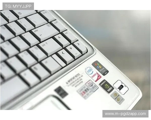 pg官网用户评价与反馈汇总，帮助新用户选择信赖的游戏平台