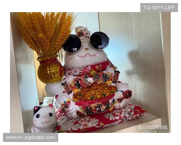 掌握pg电子招财猫的玩法策略实现财运翻倍让你在娱乐中轻松招财的实用指南