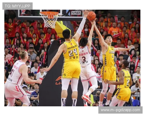 篮球C：如何培养强力中锋以增强球队的内线竞争力与战术多样性